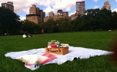 Picnic in Piedmont Park: searching for a date idea in Atlanta during the corona virus, Coronavirus, and COVID 19? Go to Piedmont Park with your date