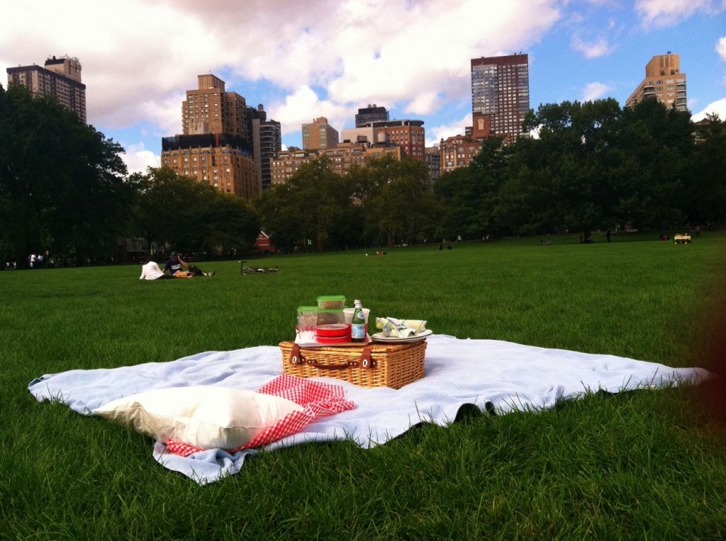 Picnic in Piedmont Park: searching for a date idea in Atlanta during the corona virus, Coronavirus, and COVID 19? Go to Piedmont Park with your date